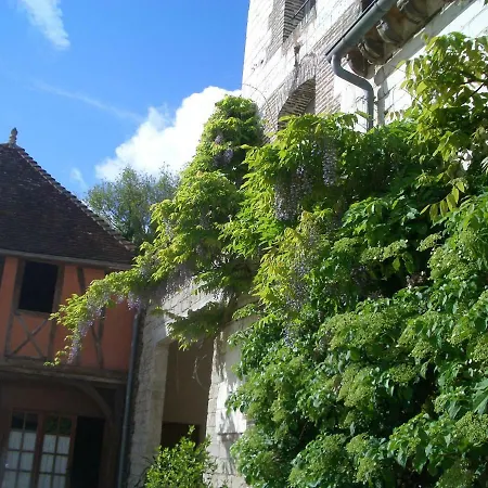 Frühstückspension Chateau Des Roises Bucey-en-Othe