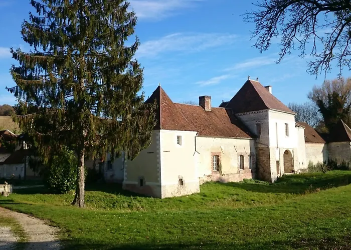 Chateau Des Roises Bed & Breakfast Bucey-en-Othe