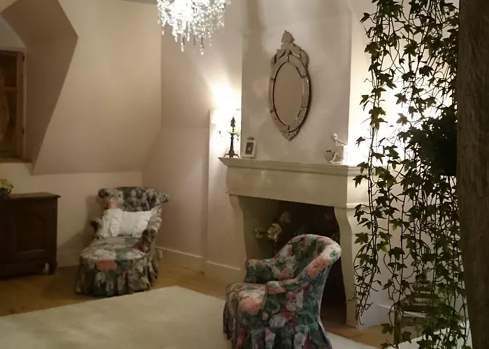 Chateau Des Roises Bed & Breakfast Bucey-en-Othe