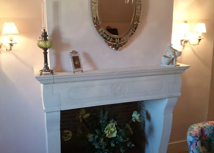 Chateau Des Roises 3*