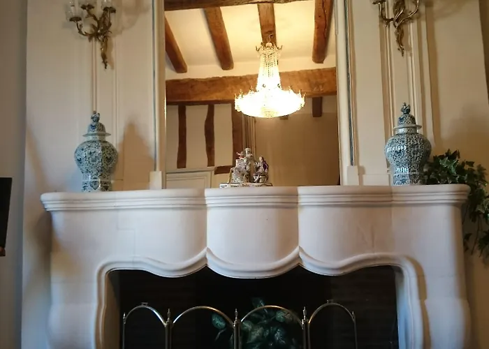 Chateau Des Roises Bed & Breakfast Bucey-en-Othe