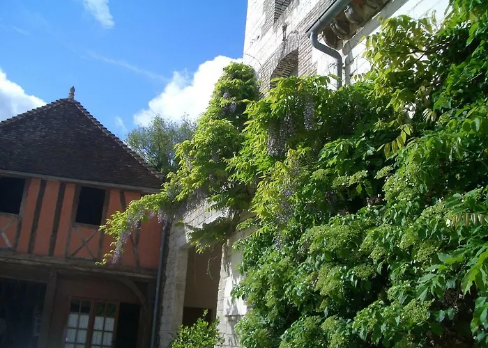 Bed & Breakfast Chateau Des Roises Bucey-en-Othe